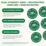 NAD+ Patches with Nicotinamide & Resveratrol - 8 Hour Energy & Anti-Aging Support