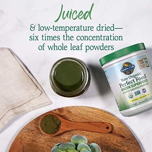 Garden of Life Raw Organic Perfect Food Green Superfood - 7.4 oz (209 g)
