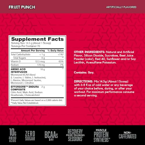 BSN Amino X Fruit Punch 70 Servings BCAA Recovery Support