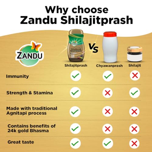 Zandu Shilajitprash, Ayurvedic Herbal Strength & Immunity Paste, 900 Gm Jar