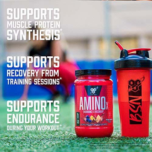 BSN Amino X Fruit Punch 70 Servings BCAA Recovery Support