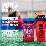 BSN Amino X Fruit Punch 70 Servings BCAA Recovery Support