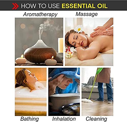 Organic Eucalyptus Essential Oil 30 ml – 100% Pure USDA Organic for Aromatherapy & Natural Home Care