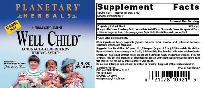 Planetary Herbals Well Child Alcohol-Free Echinacea-Elderberry Syrup - 2 Fl Oz