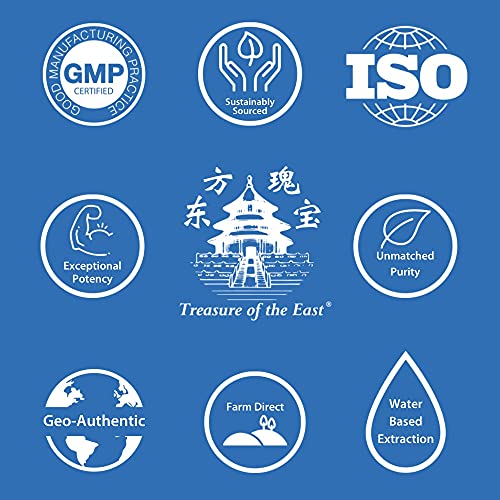 Treasure of the East Indigo (Qing Dai) Capsules - 100 Count Potent 1:1 Herbal Extract