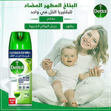 Dettol Multi-Purpose Disinfectant Spray (450ml) - Morning Dew Scent