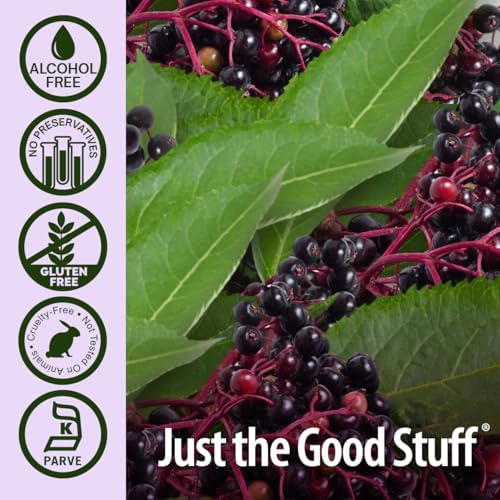 Nature's Answer Sambucus Black Elderberry Spray - 2 fl oz