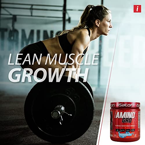 iSatori Amino-Gro Blue Razz Snow Cone 30 Servings - BCAA Amino Acid Supplement