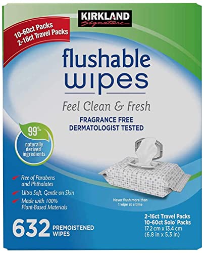 Kirkland Signature Flushable Moist Wipes - 632 Count White Fast Clean