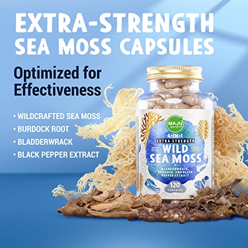 Maju Superfoods Wild Irish Sea Moss Capsules, 4-in-1 with Bladderwrack & Burdock Root, Sebi Inspired Organic Seamoss Pills (120 ct)