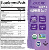 Garden of Life MyKind Organics Elderberry Immune Gummies, 120 Vegan