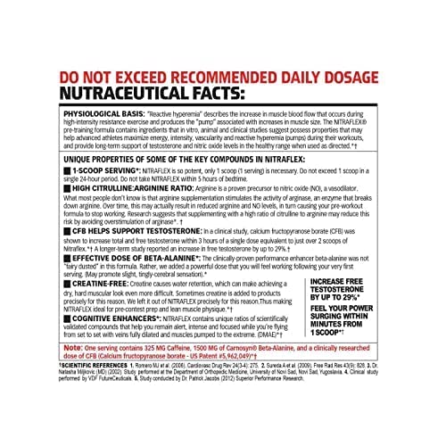 GAT Sport Nitraflex Pre-Workout Powder - Grape Flavor (300g)