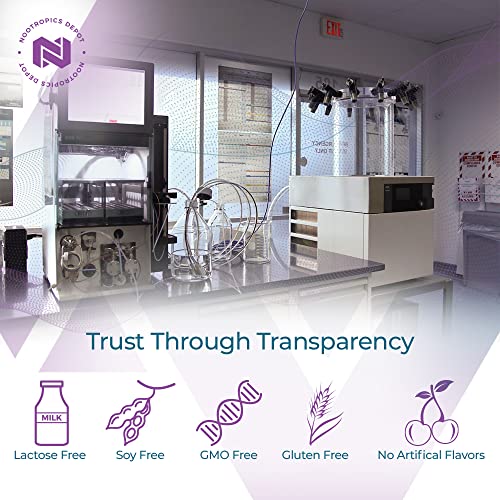 Nootropics Depot Nicotinamide Riboside Capsules 300mg | NAD+ Precursor