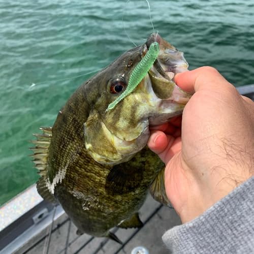 Great Lakes Finesse Drop Minnow Soft Plastic Fishing Lure