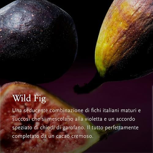 RITUALS Wild Fig Luxury Room Fragrance Gift Set