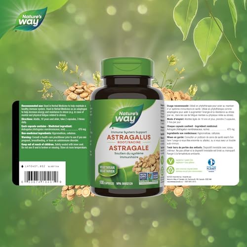 Nature's Way Astragalus Root, Traditional Immune Support*, 1,410 mg per 3-Capsule Serving, Non-GMO Project Verified, Vegan, 100 Capsules (Packaging May Vary)