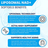 Liposomal NAD+ 500 MG with TMG 250 MG - Superior Absorption for Healthy Aging