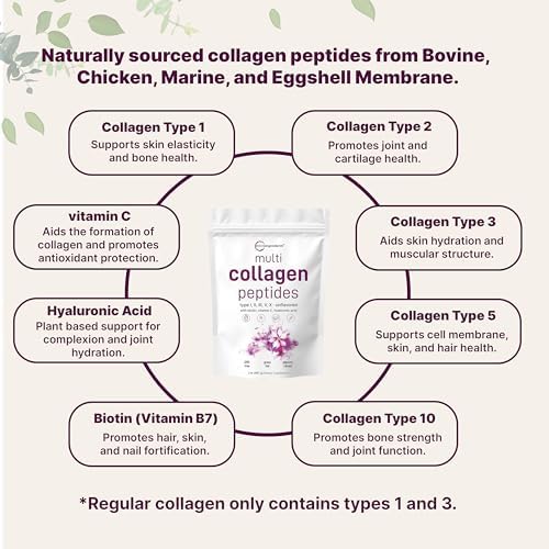 Micro Ingredients Multi-Collagen Protein Powder: Type I, II, III, V, X - 2 lbs