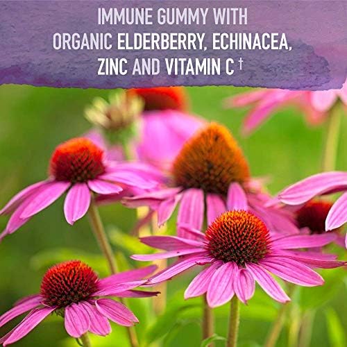 Garden of Life MyKind Organics Elderberry Immune Support Gummies - 120 Vegan Gummies