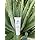 Carlson Labs Key-E Hand & Body Cream - Unscented, Deeply Moisturizing