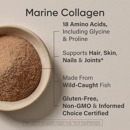 Sports Research Marine Collagen Peptides Powder (Dark Chocolate) | Post-Workout Recovery & Beauty Support