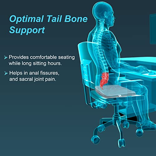 Tynor H-13 Coccyx Cushion Seat for Tailbone Pain Relief