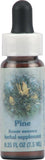 Pine Healing Herb Flower Essence Supplement Dropper - 0.25 Fluid Ounce Forgiveness Aid