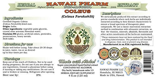 Hawaii Pharm Coleus Forskohlii Root Alcohol-Free Liquid Extract, 2 oz
