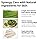 SOME BY MI Super Matcha Pore Clean Clay Mask (100g)
