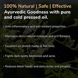 SECRET DE GOURMET Porcelain Nature Mug - 380ml Mint Green