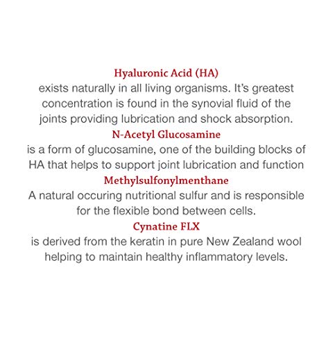 Hyalogic Pro Advanced HyaFlex for Dogs - Joint Support Wafers (30 Beef Flavored Tablets)