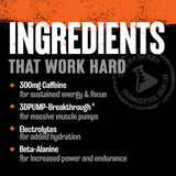 Animal Primal Muscle Hydration + Preworkout Powder – Contains Beta Alanine, 3DPump, Caffeine & Electrolytes – Improves Energy, Focus, Endurance & Absorption – Fruit Punch Flavor, 17.9 o