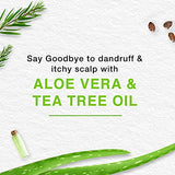 Himalaya Anti Dandruff Shampoo - Fights Dandruff & Soothes Scalp - 400ml