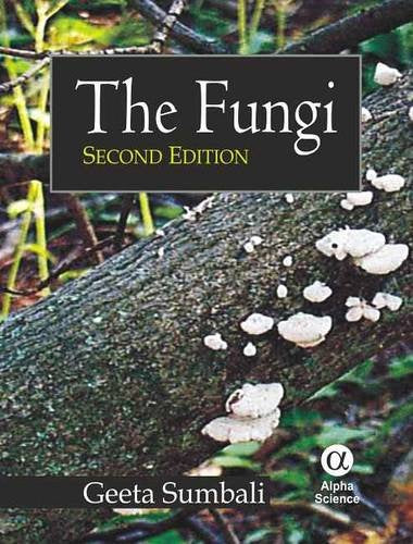 The Fungi: Advanced Mushroom Blend Supplement