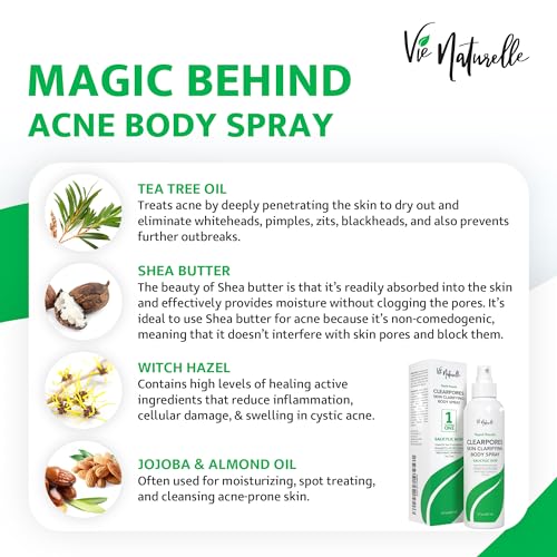 Acne Spray for Men Women Teens - Tea Tree & Salicylic Acid Non-Prescription Treatment