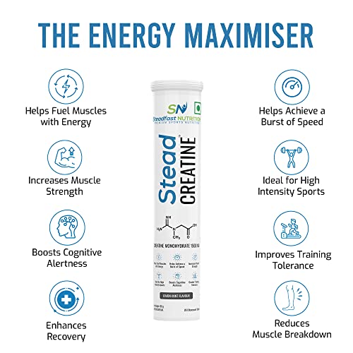 Steadfast Nutrition SteadCreatine | Pink Lemonade Flavored Creatine Monohydrate | Pack of 1