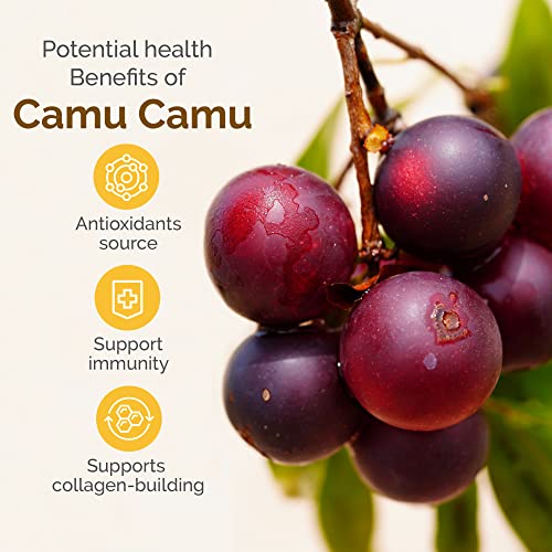 Zint Organic Camu Camu Powder - High Potency Vitamin C & Antioxidant Support, 3.5oz