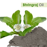 Salvia Bhringraj Oil - 100% Pure & Natural (30ML)