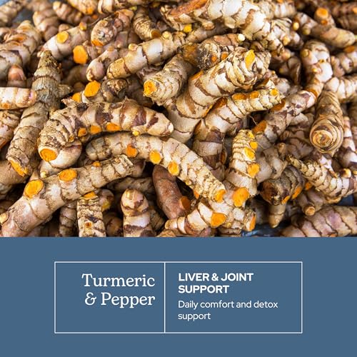 Turmeric & Pepper Freeze-Dried Vegetables by Eclectic Institute