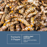 Turmeric & Pepper Freeze-Dried Vegetables by Eclectic Institute