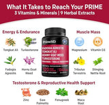 PrimeMD 12-in-1 Fadogia Agrestis and Tongkat Ali for Men - Testosterone Supplement for Men with Turkesterone - Men's Health Supplement for Overall Well-Being with 1342mg Per Serving (120 Capsules)