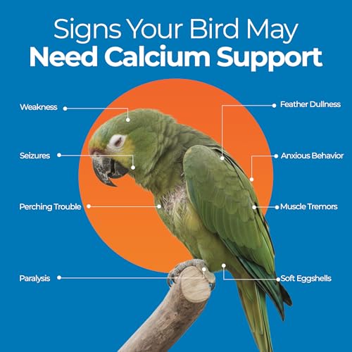 UnRuffledRx Bird Calcium Plus with Magnesium & D3 - 45 Servings