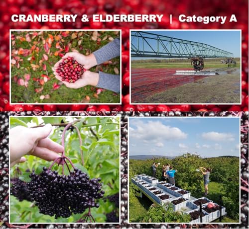 Immunia Urinary Health - Cranberry & Elderberry Concentrate - Natural & Delicious - 5 ml/Day