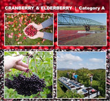 Immunia Urinary Health - Cranberry & Elderberry Concentrate - Natural & Delicious - 5 ml/Day