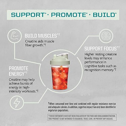 Sunwarrior Micronized Creatine Monohydrate - 300g Tub (60 Servings)