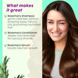 PLIX Rosemary Anti Hairfall Regime Combo (Shampoo, Conditioner & 3% Redensyl Serum) | Sulphate-Free