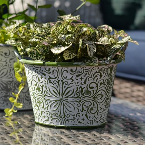 WHW Whole House Worlds Acanthus Embossed Oval Planters Set of 2 - Green & Grey with White Vintage Patina