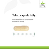 Zinc Plus Selenium - Immune & Cellular Support (60 Capsules)
