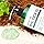 SOME BY MI AHA-BHA-PHA Real Cica Soothing Gel 300ml