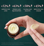 Vibrant Glamour Retinol Anti-Aging Cream (3-Pack)